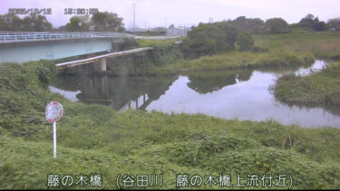 谷田川 藤の木橋上流のライブカメラ|群馬県板倉町