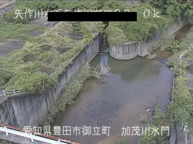 矢作川 加茂川水門付近のライブカメラ|愛知県豊田市