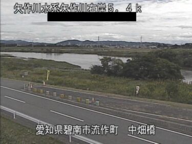 矢作川 中畑橋付近のライブカメラ|愛知県碧南市