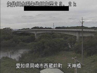 矢作川 天神橋付近のライブカメラ|愛知県岡崎市