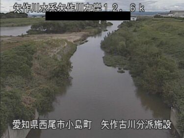 矢作川 矢作古川分派施設付近のライブカメラ|愛知県西尾市