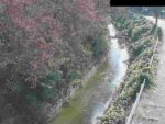 飛鳥川 橿原市今井のライブカメラ|奈良県橿原市のサムネイル