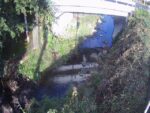 番川 大渡橋のライブカメラ|大阪府岬町のサムネイル