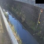 平野川 太子橋のライブカメラ|大阪府八尾市のサムネイル