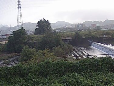 石川 河南橋のライブカメラ|大阪府富田林市