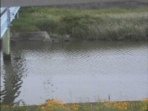 大阪府泉南市 樫井川 江永橋のライブカメラ