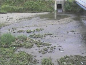 大阪府貝塚市 近木川 昭永橋のライブカメラ