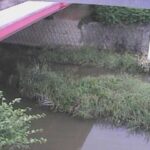 見出川 見出川橋のライブカメラ|大阪府泉佐野市のサムネイル