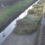 恩智川 花園遊水地のライブカメラ|大阪府東大阪市のサムネイル