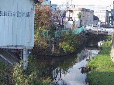 大乗川 石川浄水場前のライブカメラ|大阪府羽曳野市