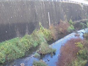 大阪府泉南市 新家川 新家川橋のライブカメラ