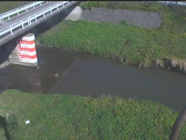 白鳥川 JR下流橋のライブカメラ|滋賀県近江八幡市のサムネイル