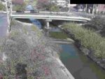 高田川 大和高田市磐築橋のライブカメラ|奈良県大和高田市のサムネイル