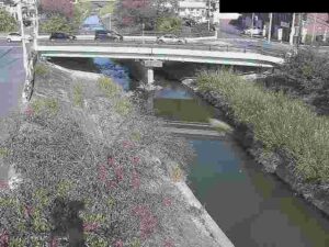 奈良県大和高田市 高田川 大和高田市磐築橋のライブカメラ