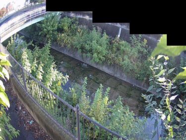天竺川 のぞみ橋のライブカメラ|大阪府豊中市