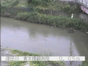 大阪府貝塚市 津田川 青木橋のライブカメラ