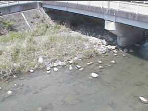 大阪府池田市 余野川 高橋のライブカメラ