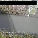 松波川 多喜尾橋のライブカメラ|石川県能登町のサムネイル