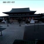 成田山新勝寺大本堂前のライブカメラ|千葉県成田市のサムネイル