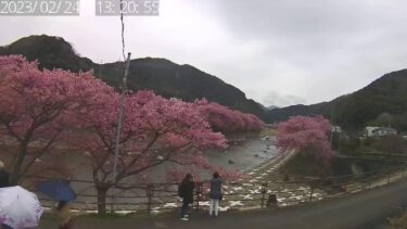 沢田～峰地区から河津川と河津桜のライブカメラ|静岡県河津町
