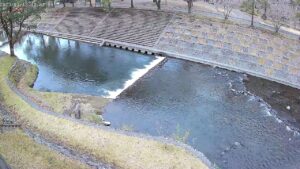 鹿児島県南九州市 岩屋公園キャンプ場・万之瀬川のライブカメラ