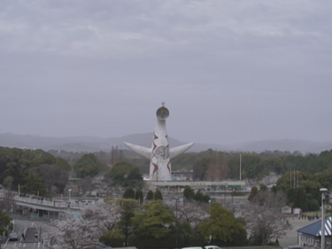 万博記念公園・太陽の塔のライブカメラ|大阪府吹田市