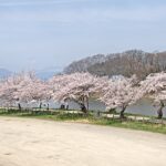 舟津公園のライブカメラ|福島県郡山市のサムネイル