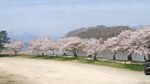 舟津公園のライブカメラ|福島県郡山市のサムネイル