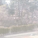 弘前公園東門のライブカメラ|青森県弘前市のサムネイル