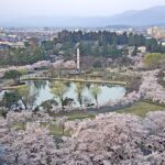 開成山公園のライブカメラ|福島県郡山市のサムネイル