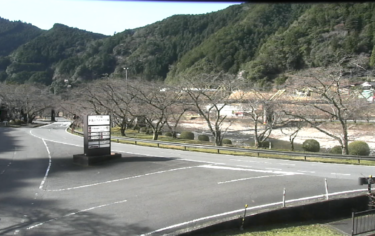 上池原・下北山の桜並木のライブカメラ|奈良県下北山村