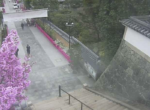 中山寺・八重桜のライブカメラ|兵庫県宝塚市のサムネイル