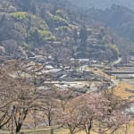 大鹿村・大西公園の桜のライブカメラ|長野県大鹿村のサムネイル