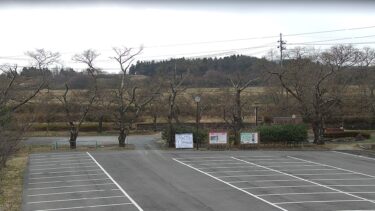 笹原川千本桜のライブカメラ|福島県郡山市