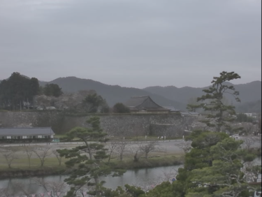 篠山城跡のライブカメラ|兵庫県丹波篠山市