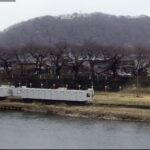 白石川 白石川堤一目千本桜のライブカメラ|宮城県大河原町のサムネイル