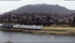 白石川 白石川堤一目千本桜のライブカメラ|宮城県大河原町のサムネイル