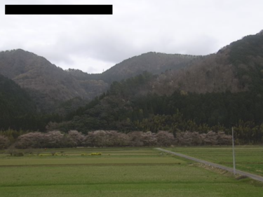トキワから香美町田園風景のライブカメラ|兵庫県香美町