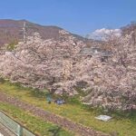 新田公園のライブカメラ|長野県上田市のサムネイル