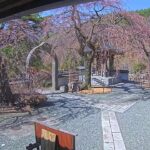 真田山長谷寺のライブカメラ|長野県上田市のサムネイル