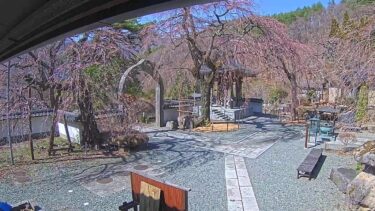 真田山長谷寺のライブカメラ|長野県上田市