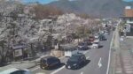 上田城千本桜・二の丸通りのライブカメラ|長野県上田市のサムネイル