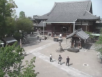 一心寺本堂・境内のライブカメラ|大阪府大阪市のサムネイル