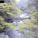 かずら橋全景のライブカメラ|徳島県三好市のサムネイル