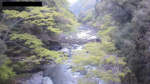 かずら橋全景のライブカメラ|徳島県三好市のサムネイル