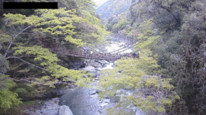 徳島県三好市 かずら橋全景のライブカメラ