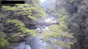 かずら橋全景のライブカメラ|徳島県三好市