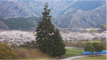 宮ヶ瀬やまなみセンターから見る宮ヶ瀬湖のライブカメラ|神奈川県清川村