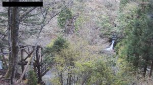 徳島県三好市 奥祖谷２重かずら橋のライブカメラ