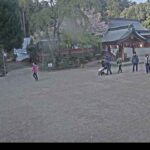 志波彦神社前のライブカメラ|宮城県塩竈市のサムネイル